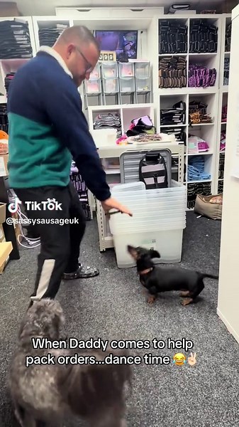 Dachshund Dancing at Techno Party with Daddy