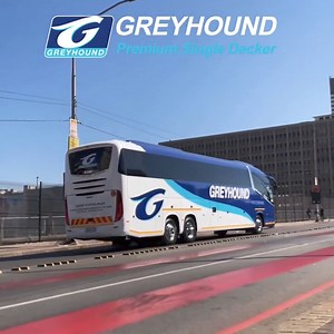 1K views · 725 reactions |  Get your tickets with ease! Halala Greyhound makes it simple. Visit www.greyhound.co.za or citilinerplus.co.za, click 'Book Tickets' and enter travel info for prices & options. Call us at 011 611 8000 too! #Greyhound #HalalaGreyhound #GetYourTickets | Greyhound | Facebook