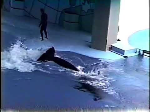 Sea World Ohio 1996