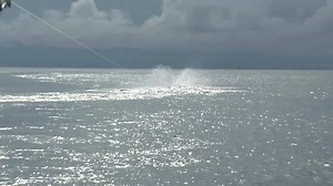 51K views · 423 reactions | BigWater Adventures / Mark Davis relies on WX Omega's polarized lenses when he's on the water. | Wiley X | Facebook