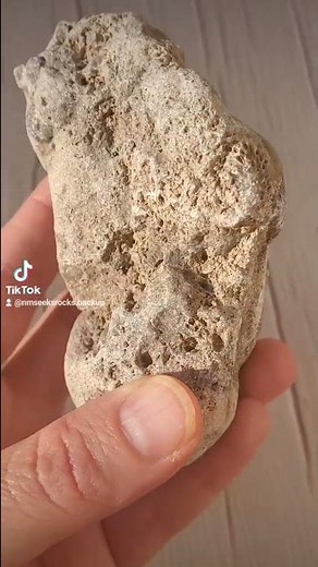 Giving fossils an acid bath! #rocks #rockhound #thefinders #fossil #geology