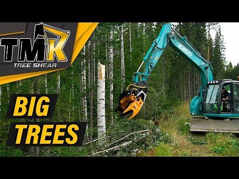 Cutting Big Trees With The TMK 400 // TMK Tree Shear
