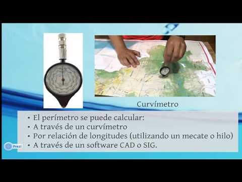 Video lesson 2. Area, perimeter, length and shape of the basin