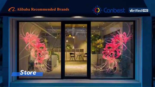 Canbest Ultra Thin 90% High Transparent Hologram Led Screen Display Pantalla Led Transparente Video Wall Panel for Glass Windows