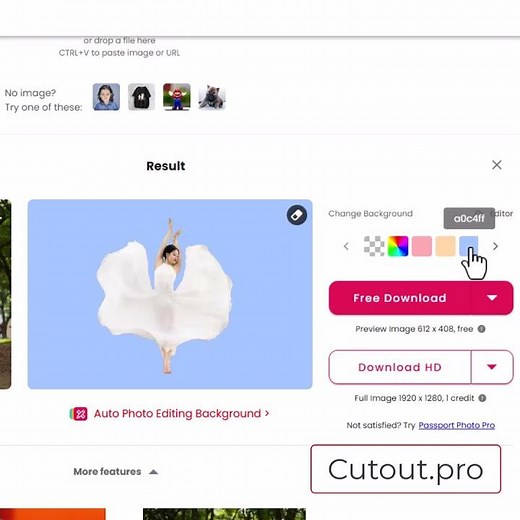 Removing Background using Cutout Pro