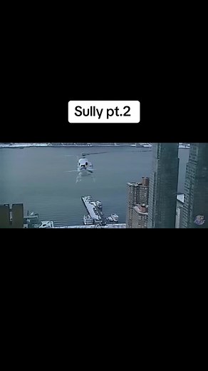 Sully pt.2 #moviescene #sully #tomhanks #airplane