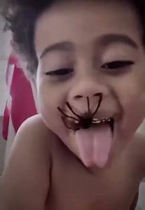 26M views · 71K reactions | He wasnt ready for the Snapchat spider filter lol | Mike Phillips | Facebook