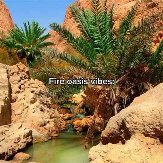 Fire oasis - My Singing Monsters 🏝💕 #msm #mysingingmonster #fireoasis #song