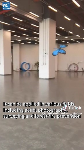 China Xinhua News on TikTok