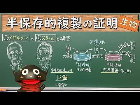 メセルソンとスタールの実験（半保存的複製）【102生物】