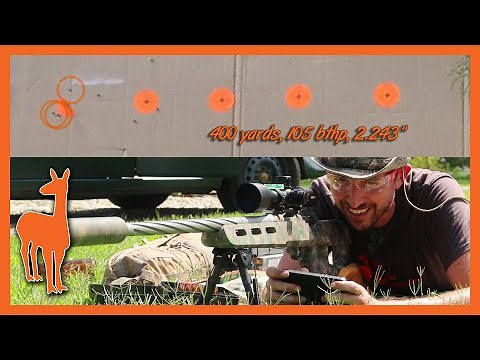 243 Winchester 400 Yard Accuracy - Savage Telekinesis Rifle