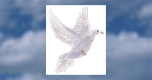 Terry Donald Heil Obituary January 30, 2026 - Peterson Brothers Funeral Home