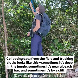 The Sloth Conservation Foundation on Reels