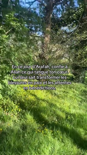Invocation du jour d'Arafat : Paix et Bénédictions