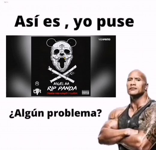 Respuesta a @user239105917750 #musica Anuel AA - RIP Panda ft. Arcangel #asiesyopuse #anuelaa #arcangel #rippanda #videosmusica