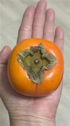 Japan’s national fruit: How to eat a persimmon and more! #persimmon #japan