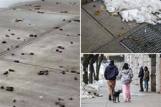 Exclusive | NYC’s most poop-filled areas revealed — as dog waste complaints hit record highs