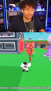 SAMMY STEALS FOLTYN S OG STRAWBERRY ELEPHANT | Foltyn