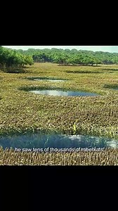 Life of Pi | Random Videos