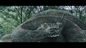 19M views · 286K reactions | 洛The big snake is injured, and the boy helps the snake pull out the wooden thorn! 大蛇为救男孩受伤，男孩为它拔出木刺！ #Snake3 #大蛇3龙蛇之战 #youkumovie #优酷电影 | Youku Movie | Facebook