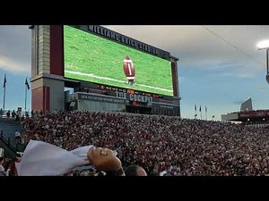 "Sandstorm" at Williams Brice Stadium, September 3, 2022 Columbia SC