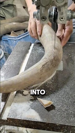 The Art of Buffalo Horn Crafting