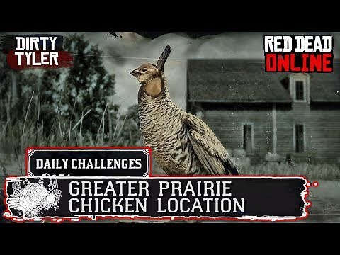 Prairie Chickens RDR2 Locations - Prairie Chicken Red Dead Online