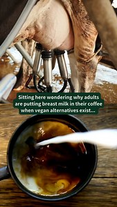 76 reactions · 15 shares | Maybe it’s not oat milk that’s “weird”…...
