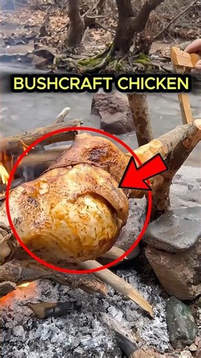Primitive Chicken Cooking In The Forest #heartwarming #cooking #primitive