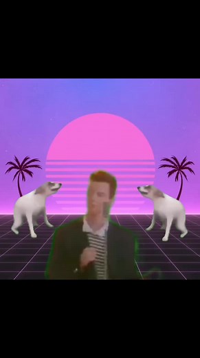 Dancing Dogs Compilation - Funny and Adorable Moments