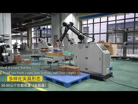 WP20 Collaborative Palletizer Demo | Versatile Robotic Palletizing by Soontrue