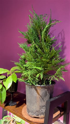 OneBadMutter (@onebadmutter)’s videos with original sound - OneBadMutter