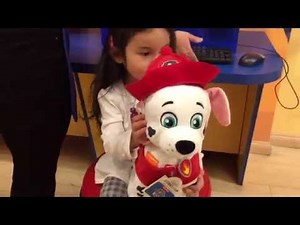 Building a Paw Patrol Marshall at the Build-A-Bear Workshop