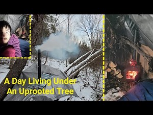 Spending 24 Hours In The Roots Of A Tree With Tiny Wood Stove
