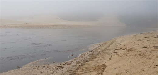 15K views · 296 reactions | Mouth opened properly after 84mm of steady penetrating rain here at Van Stadens Resort. We needed the rain desperately! Sorry for areas where there has been flooding. Have a wonderful Tuesday everyone!  | Van Stadens Resort | Facebook