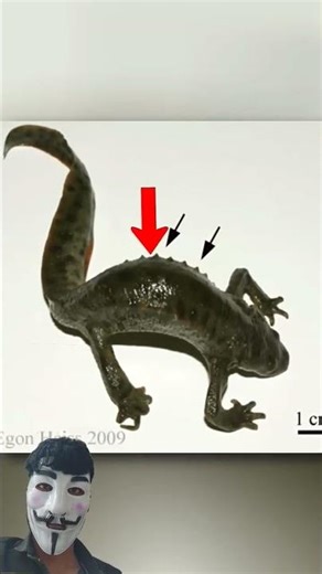 Kuchh aise janbar jise aap nahi jante hai 😱#shorts