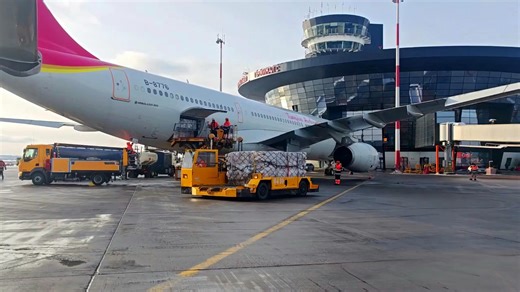 海航系航司在莫斯科谢列梅捷沃机场的货物装卸