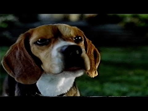 Cats & Dogs: Lou Confronts Butch (2001) (VHS Capture)