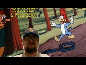 Woody Woodpecker: How to Trap a Woodpecker (1971) - First Time Watching: Will Woody Outwit a Trapper