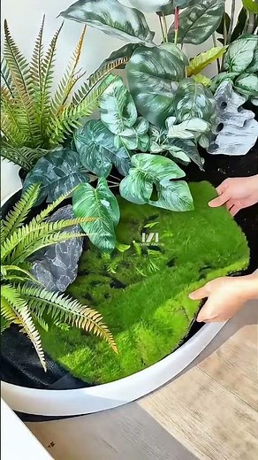 Create a Zen inspired landscape on your balcony #SpaceDesign #gardendesign #garden #plants