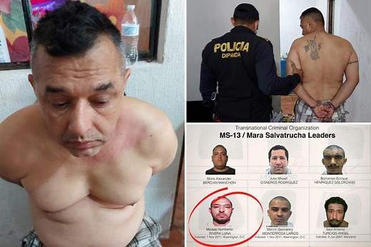 MS-13 boss ‘Old Saint’ ran sinister US murder, drug network from a South American jail: prosecutors