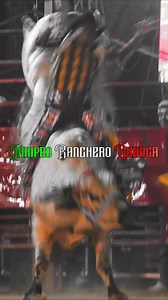 ESTE JINETE LO AGARRO BONITO ¡¡ LLAVERITO #JaripeoRancheroOaxaca #sangreporfama #jaripeo #jaripeoranchero #JaripeoSinFronteras #JaripeoBaile #JaripeoExtremo | Jaripeo Ranchero Oaxaca