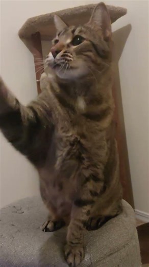 another one bites the dust 🎵