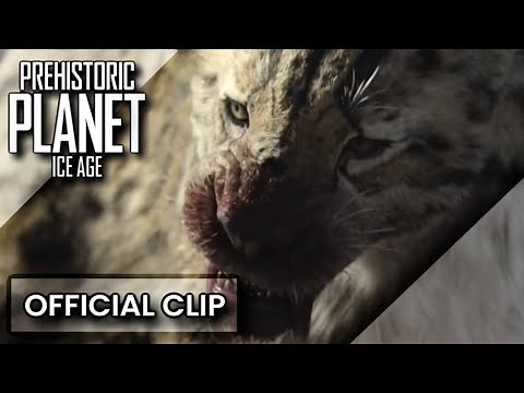 SABERTOOTH CAT VS DIRE WOLVES | PREHISTORIC PLANET ICE AGE | OFFICIAL CLIP