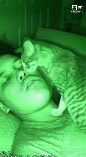 Cat Detects Sleep Apnea Episode, Stimulates Breathing with Gentle Nose Nudges | CCTV🐾💤 #Shorts