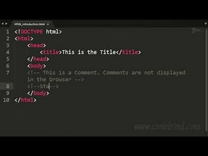 HTML Comment Tag