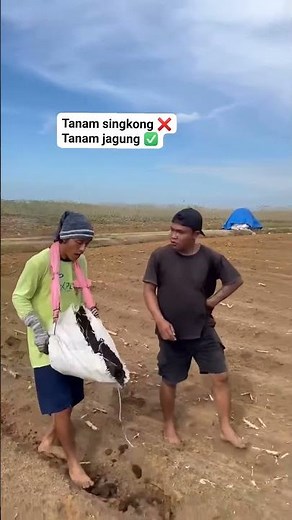 RECERT KOHE BEFORE PLANTING CORN