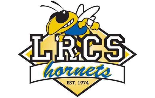 Area Girls Basketball: Hornets fall in semis