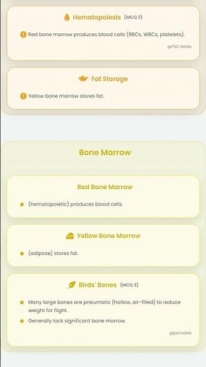 Types of Skeletons and their Functions
