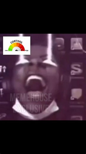 Discord Memes part 400